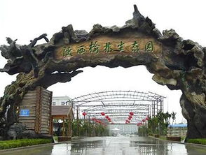 生態(tài)園的靈魂構(gòu)筑 解析假樹(shù)大門(mén)的設(shè)計(jì)與營(yíng)造