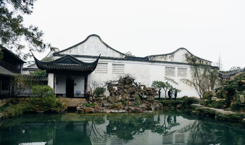蘇州幽巷藏奇景，明軒氣韻渡重洋
