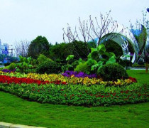 綠植租賃租擺公司優(yōu)質(zhì)商家置頂推薦產(chǎn)品